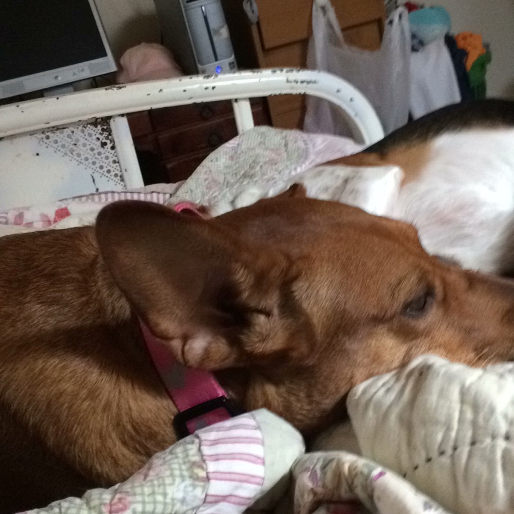 Meet your Posher, Kim